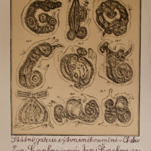 Affiche « Anima - Animus - Animace »
