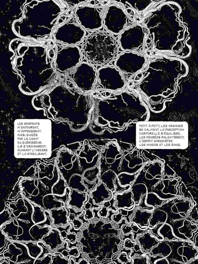 Jan Kounen - Dr Ayahuasca – Image 3