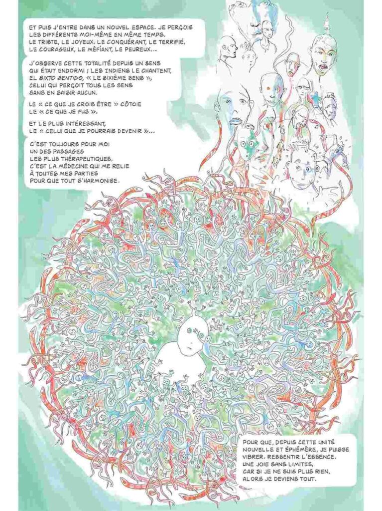 Jan Kounen - Dr Ayahuasca – Image 4