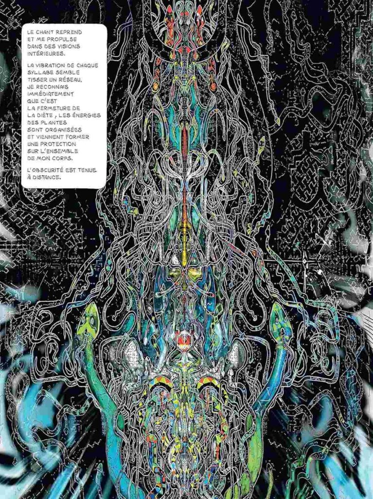 Jan Kounen - Dr Ayahuasca – Image 5