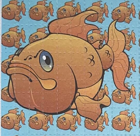 Fish, 100 carrés, 6,4 x 6,4 cm