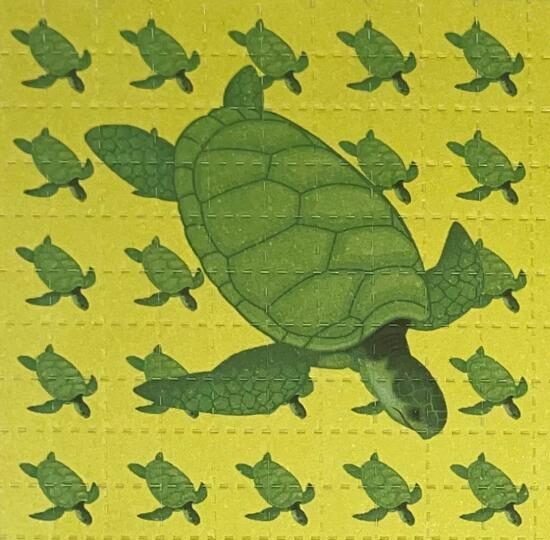Turtles, 100 carrés, 6,4 x 6,4 cm