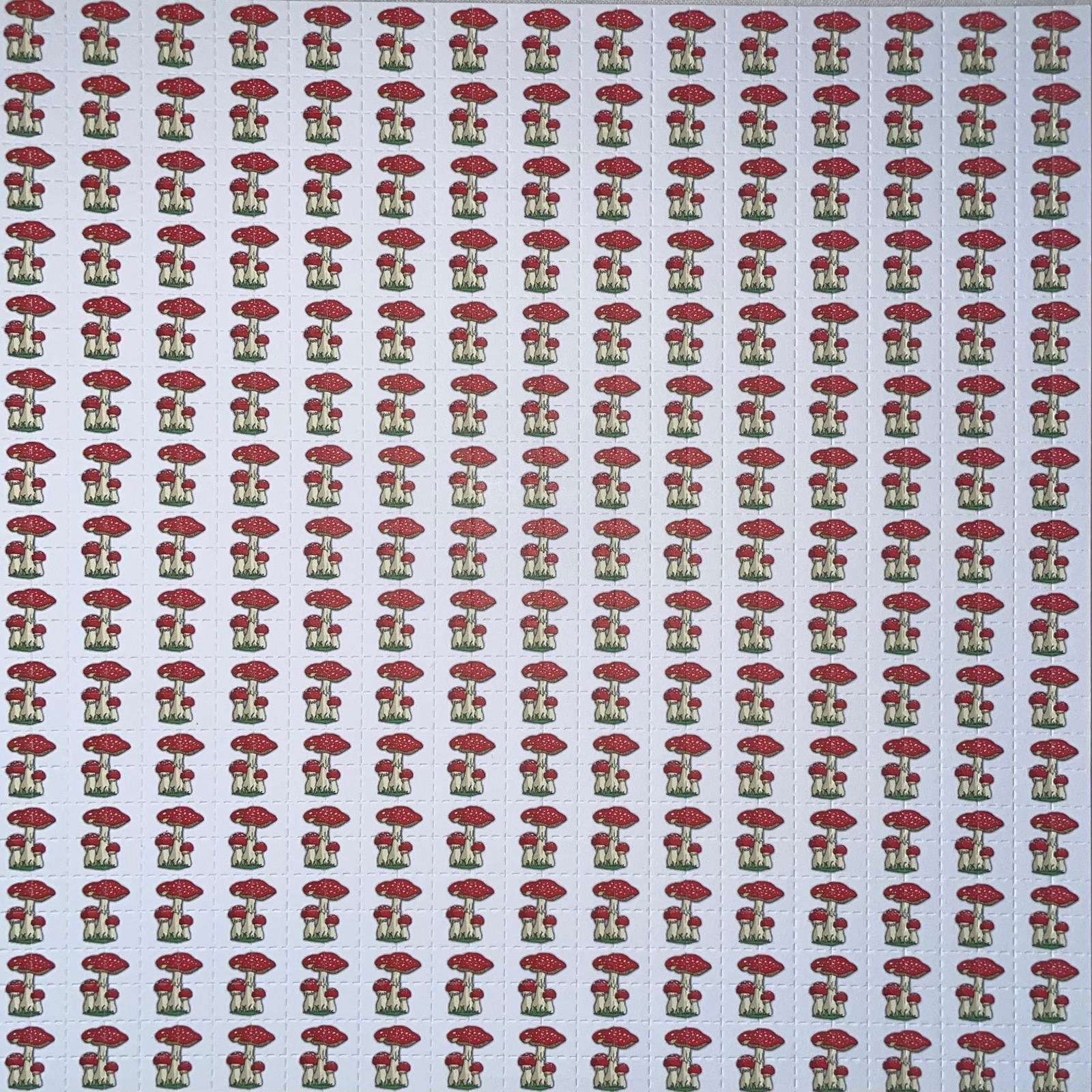 Little Mushrooms, 900 carrés, 19 x 19 cm