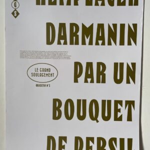 Remplacer Darmanin par un bouquet de persil - Le grand soulagement