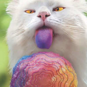 Carte postale du Psychedelic Art Center