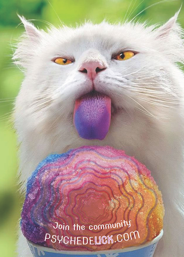 Carte postale du Psychedelic Art Center