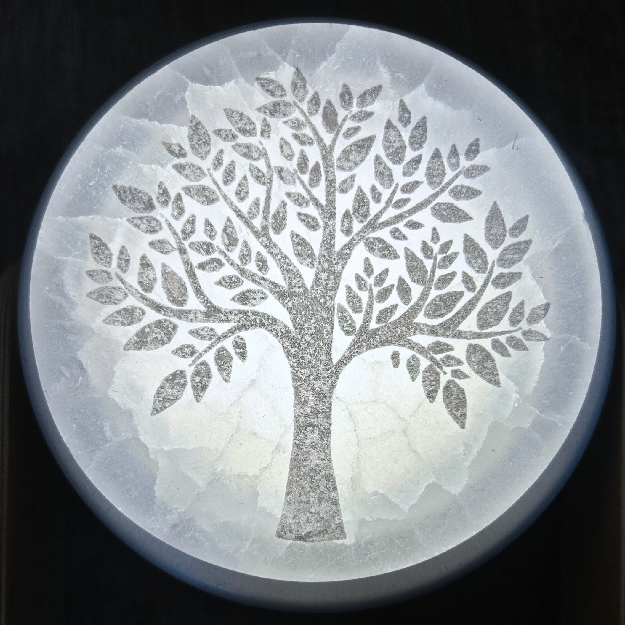 Arbre de la vie - Disque en sélénite – Image 2